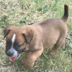 Meet your Posher, Eli